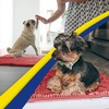 image:imageMuddy Mat  Super Water Absorbent Door Mat Indoor Microfiber Quick Dry Chenille Entryway Rug Slip Resistant Front Door Mat Indoor Mats for Entryway Machine Washable Pet Rug Red 59x24