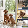 image:imageMuddy Mat  Super Water Absorbent Door Mat Indoor Microfiber Quick Dry Chenille Entryway Rug Slip Resistant Front Door Mat Indoor Mats for Entryway Machine Washable Pet Rug Beige XXL 60X48