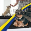 image:imageMuddy Mat  Super Water Absorbent Door Mat Indoor Microfiber Quick Dry Chenille Entryway Rug Slip Resistant Front Door Mat Indoor Mats for Entryway Machine Washable Pet Rug Black XXXL 72X48