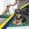 image:imageMuddy Mat  Super Water Absorbent Door Mat Indoor Microfiber Quick Dry Chenille Entryway Rug Slip Resistant Front Door Mat Indoor Mats for Entryway Machine Washable Pet Rug Dark Green 30x19