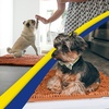 image:imageMuddy Mat  Super Water Absorbent Door Mat Indoor Microfiber Quick Dry Chenille Entryway Rug Slip Resistant Front Door Mat Indoor Mats for Entryway Machine Washable Pet Rug Orange XXXL 72X48
