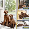 image:imageMuddy Mat  Super Water Absorbent Door Mat Indoor Microfiber Quick Dry Chenille Entryway Rug Slip Resistant Front Door Mat Indoor Mats for Entryway Machine Washable Pet Rug Brown 30x19
