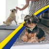 image:imageMuddy Mat  Super Water Absorbent Door Mat Indoor Microfiber Quick Dry Chenille Entryway Rug Slip Resistant Front Door Mat Indoor Mats for Entryway Machine Washable Pet Rug Grey 24x96