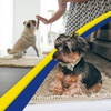 image:imageMuddy Mat  Super Water Absorbent Door Mat Indoor Microfiber Quick Dry Chenille Entryway Rug Slip Resistant Front Door Mat Indoor Mats for Entryway Machine Washable Pet Rug Beige XXL 60X48