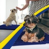 image:imageMuddy Mat  Super Water Absorbent Door Mat Indoor Microfiber Quick Dry Chenille Entryway Rug Slip Resistant Front Door Mat Indoor Mats for Entryway Machine Washable Pet Rug Navy Blue 36x120