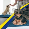 image:imageMuddy Mat  Super Water Absorbent Door Mat Indoor Microfiber Quick Dry Chenille Entryway RugSlip Resistant Front Door MatIndoor Mats for EntrywayMachine Washable Pet Rug Atlantic Blue 24x120