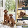 image:imageMuddy Mat 2Piece Atlantic Blue Medium 30X19 ASSEENONTV Highly Absorbent Microfiber Door Mat Bath Mat and Pet Rug Non Slip Thick Washable Soft Chenille for Kitchen Bedroom Indoor and OutdoorBeige