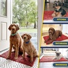 image:imageMuddy Mat 2Piece Atlantic Blue Medium 30X19 ASSEENONTV Highly Absorbent Microfiber Door Mat Bath Mat and Pet Rug Non Slip Thick Washable Soft Chenille for Kitchen Bedroom Indoor and OutdoorRed