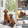 image:imageMuddy Mat 2Piece Atlantic Blue Medium 30X19 ASSEENONTV Highly Absorbent Microfiber Door Mat Bath Mat and Pet Rug Non Slip Thick Washable Soft Chenille for Kitchen Bedroom Indoor and OutdoorGrey