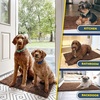 image:imageMuddy Mat 2Piece Atlantic Blue Medium 30X19 ASSEENONTV Highly Absorbent Microfiber Door Mat Bath Mat and Pet Rug Non Slip Thick Washable Soft Chenille for Kitchen Bedroom Indoor and OutdoorBrown