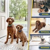 image:imageMuddy Mat 2Piece Set ASSEENONTV Highly Absorbent Microfiber Dog Door Mat and Pet Rug Non Slip Thick Washable Area Mat Soft Chenille for Kitchen Bathroom Bedroom and Outdoor White Small amp Medium