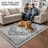 image:imageMuddy Mat Admiral 2ft x 3ft Washable Muddy Carpet for Living Room Bedroom amp Dining Room  Modern Soft Low Pile Non Slip Carpet  Pet Friendly Waterproof Foldable Area Rugs for HomeOnyx
