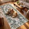 image:imageMuddy Mat Admiral 2ft x 3ft Washable Muddy Carpet for Living Room Bedroom amp Dining Room  Modern Soft Low Pile Non Slip Carpet  Pet Friendly Waterproof Foldable Area Rugs for HomeEden