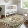 image:imageMuddy Mat Admiral 2ft x 3ft Washable Muddy Carpet for Living Room Bedroom amp Dining Room  Modern Soft Low Pile Non Slip Carpet  Pet Friendly Waterproof Foldable Area Rugs for HomeFloral
