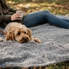 image:imageMuddy Mat Dog Blanket  Chenille Water Absorption Blanket for Bed amp Couch Cover for Dogs Washable AntiSlip Soft and Durable Furniture Protector for Dogs  Beige 48x56Grey