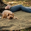 image:imageMuddy Mat Dog Blanket  Chenille Water Absorption Blanket for Bed amp Couch Cover for Dogs Washable AntiSlip Soft and Durable Furniture Protector for Dogs  Beige 48x56Beige