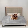 image:imageMuddy Mat Dog Blanket  Chenille Water Absorption Blanket for Bed amp Couch Cover for Dogs Washable AntiSlip Soft and Durable Furniture Protector for Dogs  Beige 48x56Grey