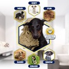 image:imageMuddy Mat Doggy Dryer Highly Absorbent Microfiber Washable Dog Shammy Quick Drying Towel Absorber  Extra Soft Plush Wrap Chenille Bath Towels to Dry Soggy Large Pets amp Small PuppyGrey 13x31Beige