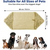 image:imageMuddy Mat Doggy Dryer Highly Absorbent Microfiber Washable Dog Shammy Quick Drying Towel Absorber  Extra Soft Plush Wrap Chenille Bath Towels to Dry Soggy Large Pets amp Small PuppyGrey 13x31Beige
