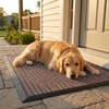 image:imageMuddy Mat Meshy Mat Door Mat HeavyDuty QuickDry Floor Mat Sand amp Dirt Trapper for Indoor amp Outdoor Ideal for Entrance MudroomsPatios amp GaragesLowProfileNonSlipWashable Box 16x24x04Arch Brown