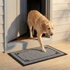 image:imageMuddy Mat Meshy Mat Door Mat HeavyDuty QuickDry Floor Mat Sand amp Dirt Trapper for Indoor amp Outdoor Ideal for Entrance MudroomsPatios amp GaragesLowProfileNonSlipWashable Box 16x24x04Border