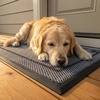 image:imageMuddy Mat Meshy Mat Door Mat HeavyDuty QuickDry Floor Mat Sand amp Dirt Trapper for Indoor amp Outdoor Ideal for Entrance MudroomsPatios amp GaragesLowProfileNonSlipWashable Box 16x24x04Border