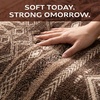 image:imageMuddy Mat Muddy Carpet Mist 8ft x 10ft Washable Area Rugs for Living Room Bedroom amp Dining Room  Modern Soft Low Pile Non Slip Carpet  Pet Friendly Waterproof Foldable Rugs for HomeNomad