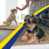 image:imageMuddy Mat Pack of 3 Highly Absorbent Microfiber Dog Door Mat and Pet Rug Non Slip Thick Washable Area Mat Soft Chenille for Kitchen Bathroom Bedroom and Outdoor  Brown Small Medium amp LargeBeige