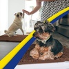 image:imageMuddy Mat Pack of 3 Highly Absorbent Microfiber Dog Door Mat and Pet Rug Non Slip Thick Washable Area Mat Soft Chenille for Kitchen Bathroom Bedroom and Outdoor  Brown Small Medium amp LargeChocolate Brown