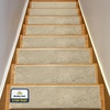 image:imageMuddy Mat Pack of 8  Soft Chenille Stair Treads NonSlip Reusable Super Absorbent Stair Treads for Wooden Steps Tile amp Marble Floor Easy to Install amp Machine Washable  Grey 30 x 7Beige