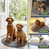 image:imageMuddy Mat Shown on TV  Super Absorbent Microfiber Dog Door Mat for Muddy Paws NonSlip Washable Pet Rug Quick Dry Chenille Entryway Carpet Machine Washable Indoor Outdoor Mat Grey Round 4ftGrey