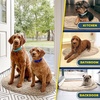 image:imageMuddy Mat Shown on TV  Super Absorbent Microfiber Dog Door Mat for Muddy Paws NonSlip Washable Pet Rug Quick Dry Chenille Entryway Carpet Machine Washable Indoor Outdoor Mat Grey Oval 3ft x 5ftBeige