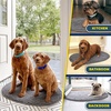 image:imageMuddy Mat Shown on TV  Super Absorbent Microfiber Dog Door Mat for Muddy Paws NonSlip Washable Pet Rug Quick Dry Chenille Entryway Carpet Machine Washable Indoor Outdoor Mat Grey Oval 3ft x 5ftGrey