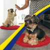 image:imageMuddy Mat Shown on TV  Super Absorbent Microfiber Dog Door Mat for Muddy Paws NonSlip Washable Pet Rug Quick Dry Chenille Entryway Carpet Machine Washable Indoor Outdoor Mat Grey Round 4ftRed