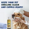 image:imageMuddy Mat Wizz Pet Shampoo for Dogs amp Cats  Aloe Vera amp Oatmeal Dog Shampoo for Itchy Skin Relief Smelly Dogs amp Sensitive Coats  Natural Alcohol amp Paraben Free  Puppy Shampoo 17 oz