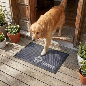 image:imageMuddy Mat Meshy Mat Door Mat HeavyDuty QuickDry Floor Mat Sand amp Dirt Trapper for Indoor amp Outdoor Ideal for Entrance MudroomsPatios amp GaragesLowProfileNonSlipWashable Box 16x24x04Paw