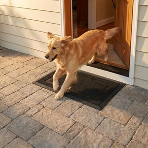 image:imageMuddy Mat Meshy Mat Door Mat HeavyDuty QuickDry Floor Mat Sand amp Dirt Trapper for Indoor amp Outdoor Ideal for Entrance MudroomsPatios amp GaragesLowProfileNonSlipWashable Box 16x24x04Frame Black