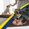 image:imageMuddy Mat  Super Water Absorbent Door Mat Indoor Microfiber Quick Dry Chenille Entryway Rug Slip Resistant Front Door Mat Indoor Mats for Entryway Machine Washable Pet Rug Brown XXXL 72X48