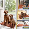 image:imageMuddy Mat  Super Water Absorbent Door Mat Indoor Microfiber Quick Dry Chenille Entryway Rug Slip Resistant Front Door Mat Indoor Mats for Entryway Machine Washable Pet Rug Orange 30x19