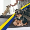 image:imageMuddy Mat  Super Water Absorbent Door Mat Indoor Microfiber Quick Dry Chenille Entryway Rug Slip Resistant Front Door Mat Indoor Mats for Entryway Machine Washable Pet Rug Charcoal 48x72