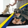 image:imageMuddy Mat  Super Water Absorbent Door Mat Indoor Microfiber Quick Dry Chenille Entryway Rug Slip Resistant Front Door Mat Indoor Mats for Entryway Machine Washable Pet Rug Black 24x72