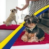 image:imageMuddy Mat  Super Water Absorbent Door Mat Indoor Microfiber Quick Dry Chenille Entryway Rug Slip Resistant Front Door Mat Indoor Mats for Entryway Machine Washable Pet Rug Maroon 18x28