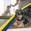 image:imageMuddy Mat  Super Water Absorbent Door Mat Indoor Microfiber Quick Dry Chenille Entryway Rug Slip Resistant Front Door Mat Indoor Mats for Entryway Machine Washable Pet Rug Army Green 19x30