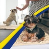 image:imageMuddy Mat  Super Water Absorbent Door Mat Indoor Microfiber Quick Dry Chenille Entryway Rug Slip Resistant Front Door Mat Indoor Mats for Entryway Machine Washable Pet Rug Beige 24x72