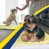 image:imageMuddy Mat  Super Water Absorbent Door Mat Indoor Microfiber Quick Dry Chenille Entryway Rug Slip Resistant Front Door Mat Indoor Mats for Entryway Machine Washable Pet Rug Yellow 19x30