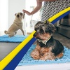 image:imageMuddy Mat  Super Water Absorbent Door Mat Indoor Microfiber Quick Dry Chenille Entryway Rug Slip Resistant Front Door Mat Indoor Mats for Entryway Machine Washable Pet Rug Sky Blue 18x28