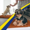 image:imageMuddy Mat  Super Water Absorbent Door Mat Indoor Microfiber Quick Dry Chenille Entryway Rug Slip Resistant Front Door Mat Indoor Mats for Entryway Machine Washable Pet Rug Orange 28x18