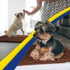 image:imageMuddy Mat  Super Water Absorbent Door Mat Indoor Microfiber Quick Dry Chenille Entryway Rug Slip Resistant Front Door Mat Indoor Mats for Entryway Machine Washable Pet Rug Brown 24x96