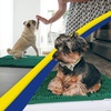 image:imageMuddy Mat  Super Water Absorbent Door Mat Indoor Microfiber Quick Dry Chenille Entryway RugSlip Resistant Front Door MatIndoor Mats for EntrywayMachine Washable Pet Rug Dark Green XL 59X35