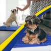 image:imageMuddy Mat  Super Water Absorbent Door Mat Indoor Microfiber Quick Dry Chenille Entryway RugSlip Resistant Front Door MatIndoor Mats for EntrywayMachine Washable Pet Rug Navy Blue XXXL 72X48